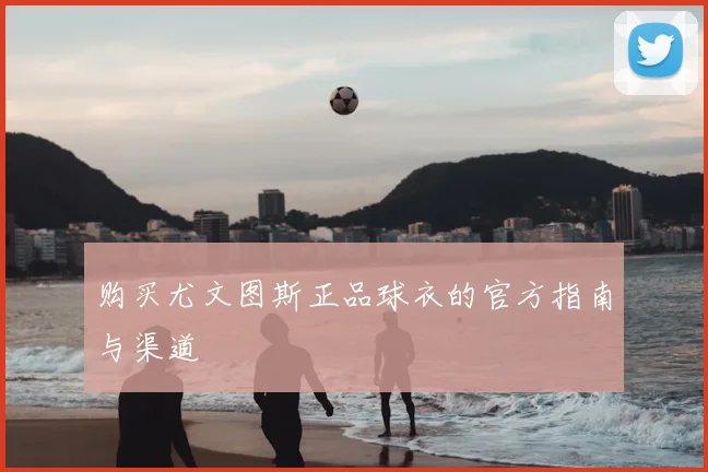 购买尤文图斯正品球衣的官方指南与渠道